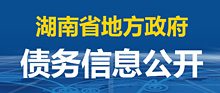 bt365娱乐官网_365app下载手机版_365bet赌城地方政府债务信息公开