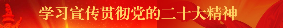 学习宣传贯彻党的二十大精神